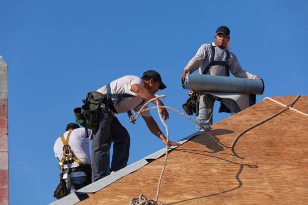 Best Roof Waterproofing Services  in Paulsboro, NJ